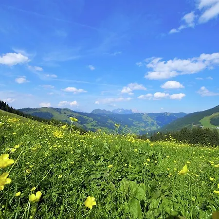 Apartment Chalet Saalbach 1 Saalbach-Hinterglemm