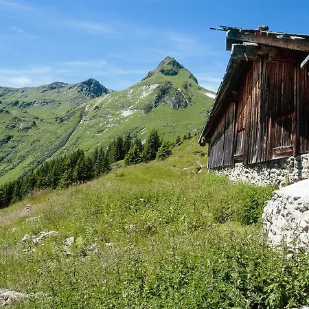 Apartment Chalet Saalbach 1 Chalet