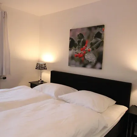 Apartment Chalet Saalbach 1 *