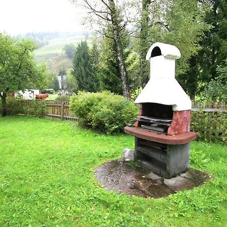 Apartment Chalet Saalbach 1 *
