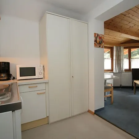 Apartment Chalet Saalbach 1 Chalet Saalbach-Hinterglemm